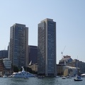 Harbor Towers