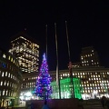 Christmas Tree at City Hall Plaza