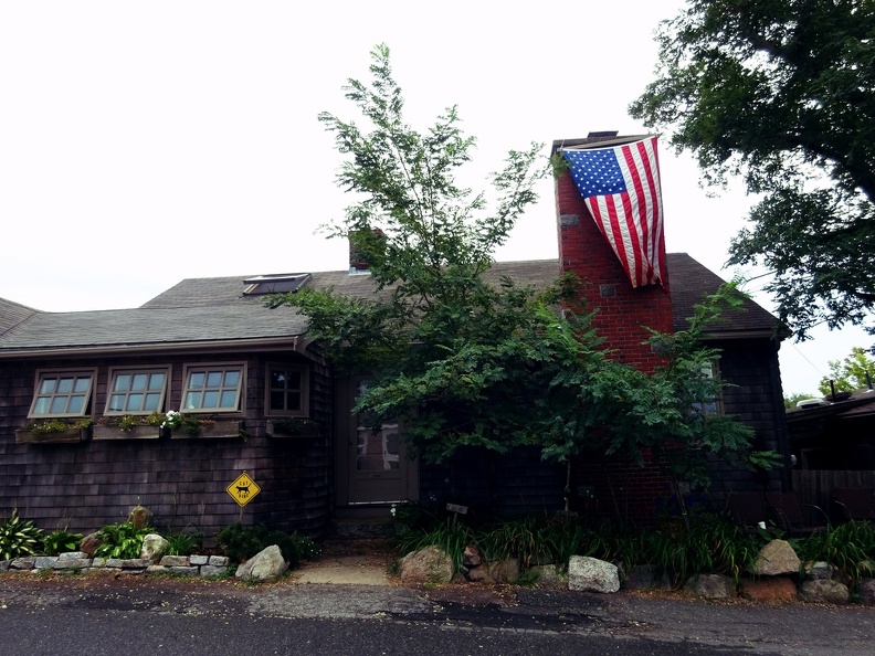 House with Flag