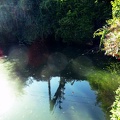 Reflection - Judkins Pond
