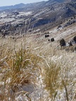 Frosty grass & mountain