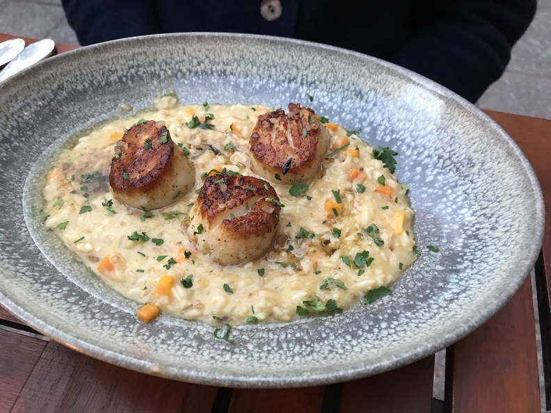 Scallops & risotto at Stoic & Genuine Seafood