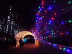 Lights and tunnel