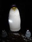 Lego penguins