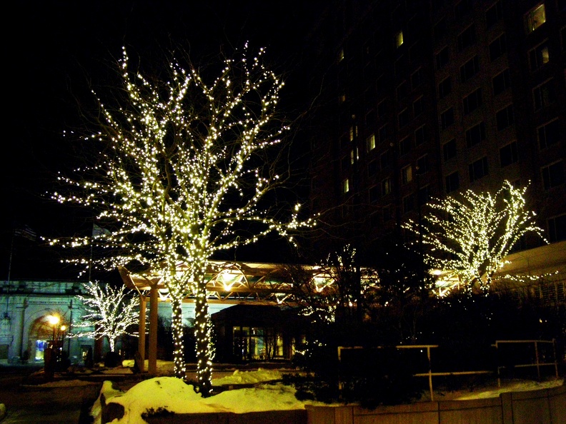 Christmas lights at the Seaport Hotel