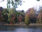 Swains Pond