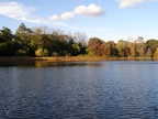 Swains Pond