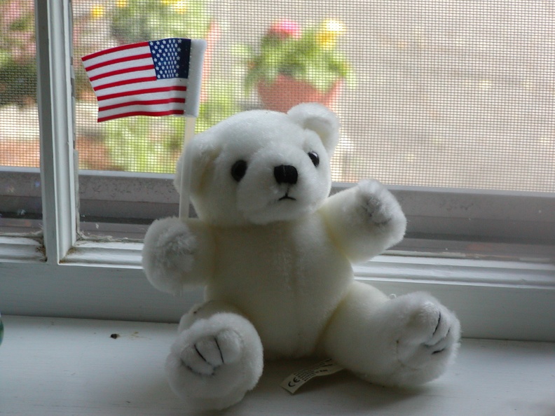 Teddy bear with flag
