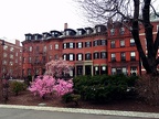 Beacon St as seen from Boston Public Garden