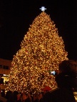 Faneuil Hall Christmas tree