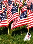 Flags - close up