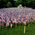 Memorial Day Flag Display on Boston Common