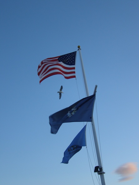 Perkins Cove flags