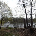 Fellsmere Pond