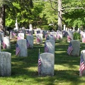 Veterans' graves