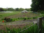 Wright-Locke Farm