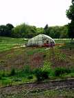Wright-Locke Farm
