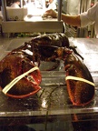 Legal Sea Foods - lobster
