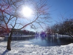Snowy Fellsmere Pond
