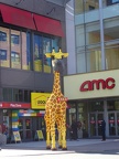 Gio the giraffe