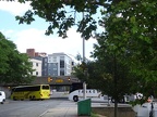 Yankee buses at Malden Center