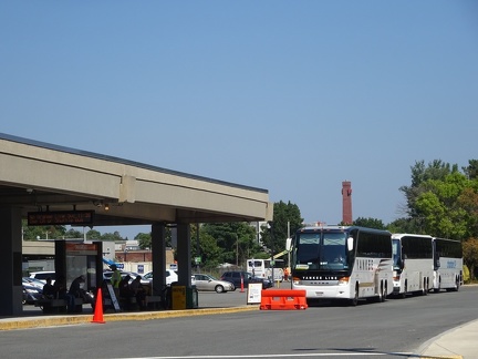 Buses at Oak Grove