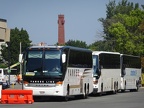 Buses at Oak Grove