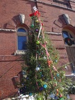 Christmas tree at Sacred Hearts Parish