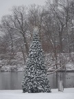Fellsmere Pond Christmas tree