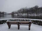 Fellsmere Pond bench
