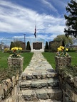 Daffodils at World War I Memorial
