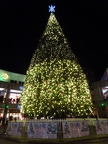 Faneuil Hall Christmas tree