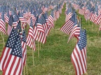 Flags