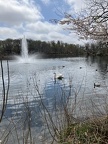 Fellsmere Pond