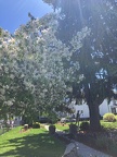 Devir Park
